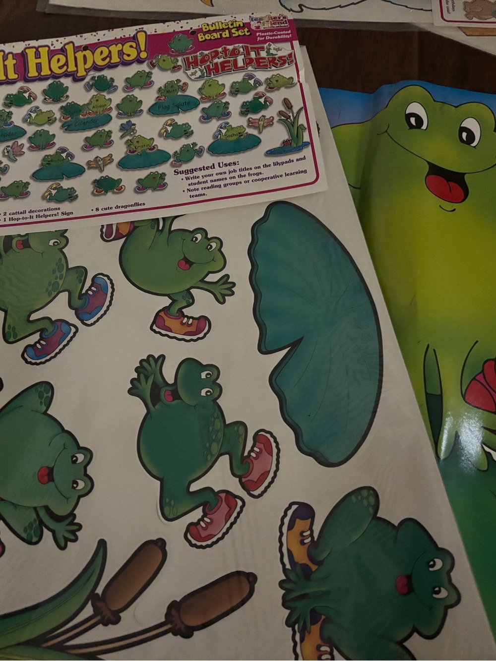 Hop to It Frog Bulletin Board - 90s classroom decor